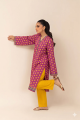 Basic Printed Lawn 3-Pieces Stitched