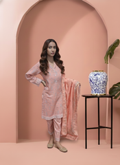 Printed 3 Pieces Khaddar