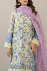 Basic Printed Lawn 3-Pieces Stitched