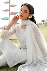 WFCU-03 Formal Embroidery Chiffon Unstitched 3-PCS